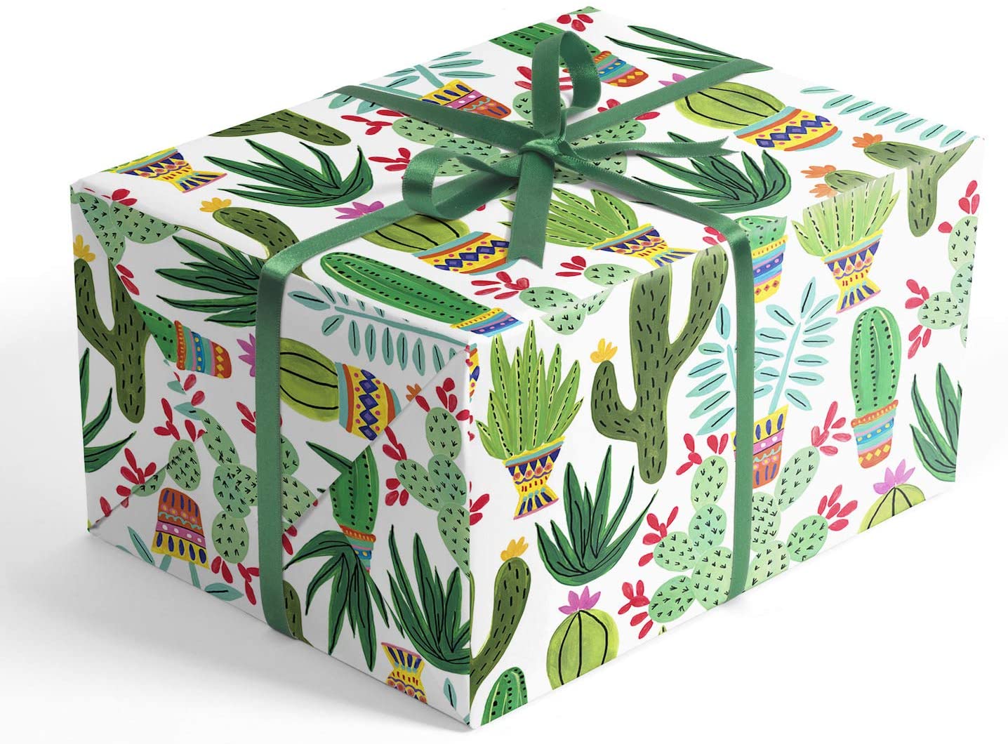 Unique Cactus Gifts from Socks to Subscription Box - EventOTB